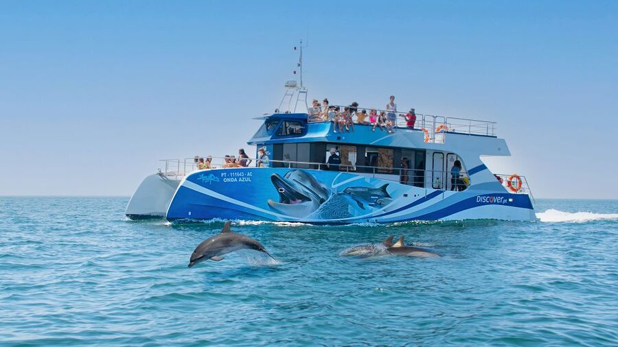Lagos: Dolphins & Caves - Catamaran - Key points to know before booking