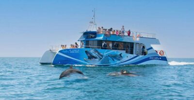 Dolphins & Caves – Catamaran