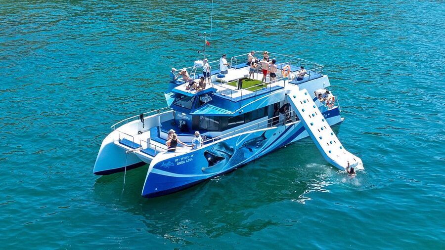 Lagos: Dolphins & Caves - Catamaran - Planning your morning or afternoon