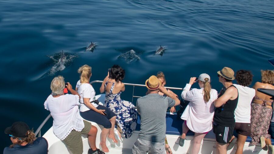 Lagos: Dolphins & Caves - Catamaran - Who will enjoy this trip most