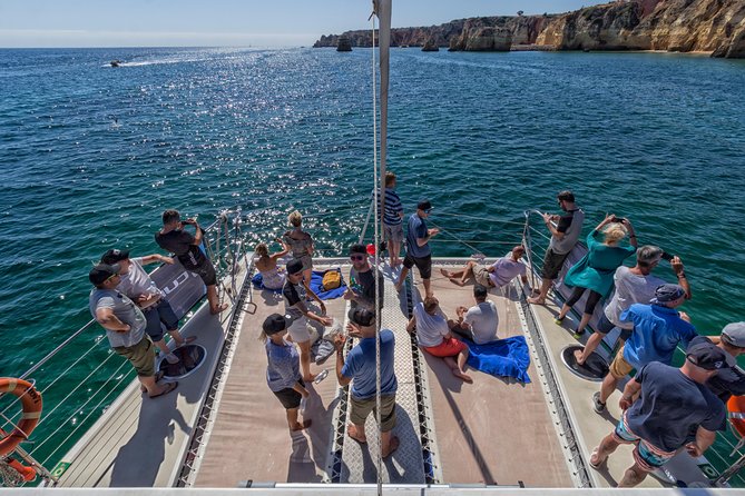Lagos Half-Day Catamaran Cruise with Lunch - Who should book this Lagos cruise