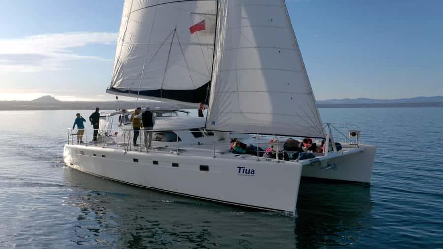 Lake Taupo: Luxury Sailing Catamaran to Māori Rock Carvings - Key points to know before you sail