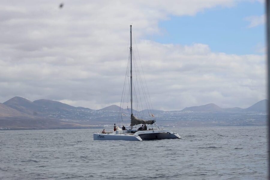 Lanzarote: Whale and Dolphin Watching Eco-Friendly Catamaran - Leaving Puerto Calero for the Atlantic