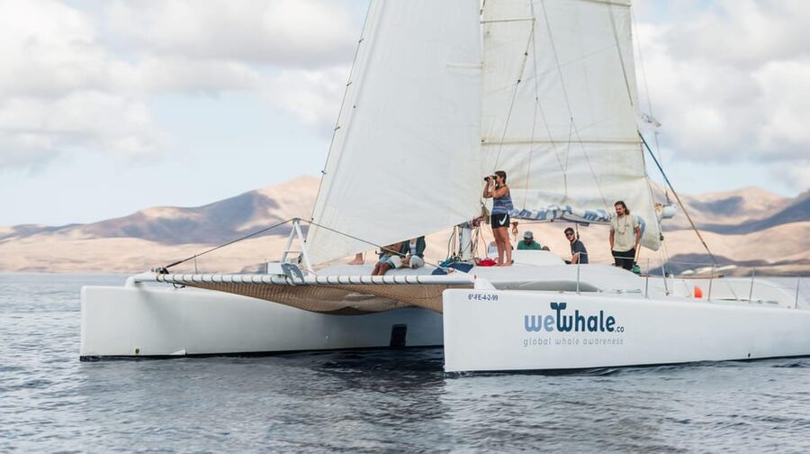 Lanzarote: Whale and Dolphin Watching Eco-Friendly Catamaran - The hydrophone: hearing the sea below you