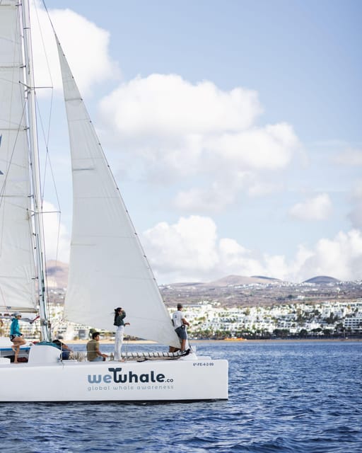 Lanzarote: Whale and Dolphin Watching Eco-Friendly Catamaran - How the season and weather affect your day