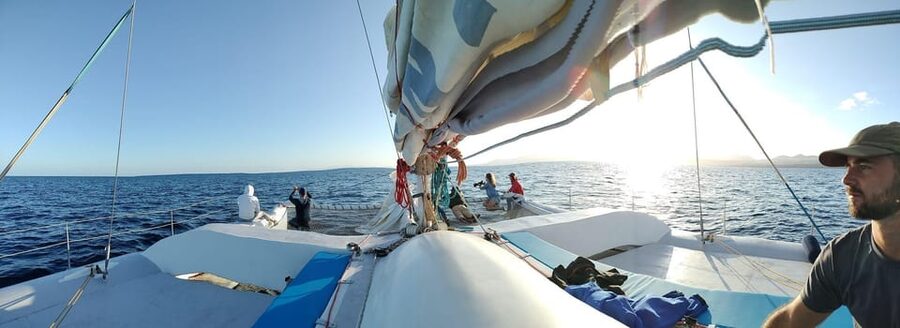 Lanzarote: Whale and Dolphin Watching Eco-Friendly Catamaran - What the $112 price really buys