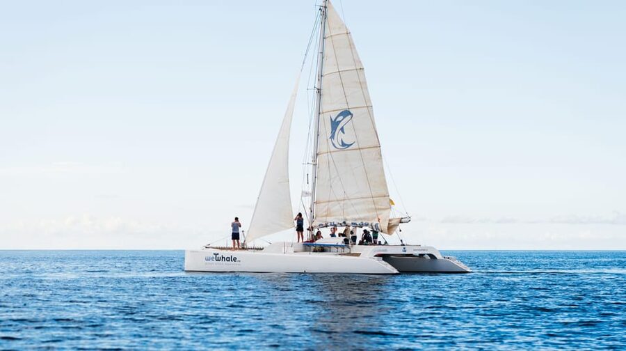 Lanzarote: Whale and Dolphin Watching Eco-Friendly Catamaran - Who will enjoy this outing most