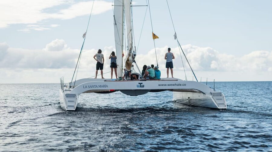 Lanzarote: Whale and Dolphin Watching Eco-Friendly Catamaran - Practical tips before you head to Dock F22