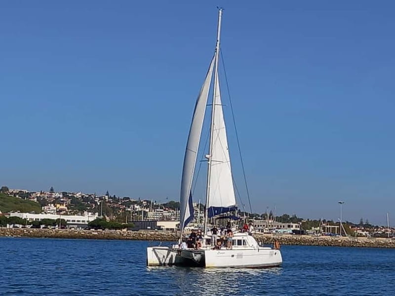 Lisbon: Catamaran Cruise with Drinks & Pastel de Nata - MAAT and the modern riverfront