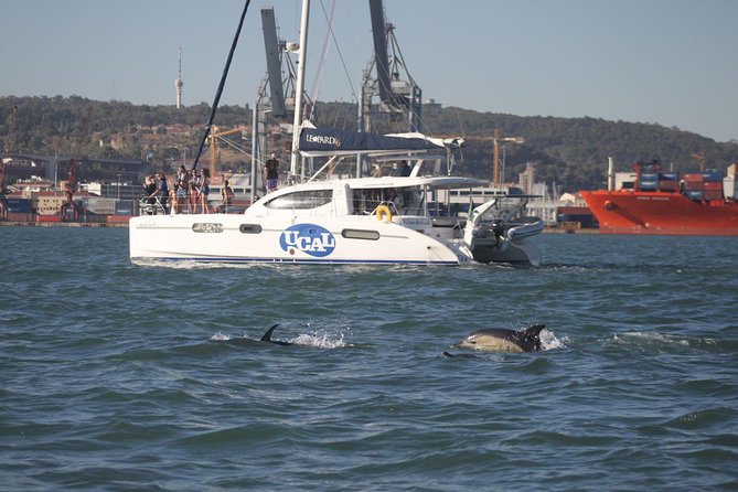 Lisbon: Sunset Cruise With Drinks on Spacious Yacht - Praça do Comércio, Christ the King, and the south bank