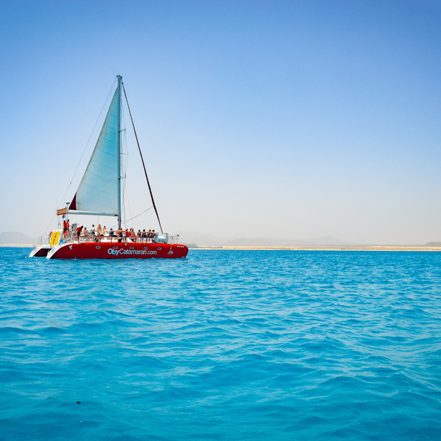 Lobos Island: 4-Hour Catamaran Trip with Lunch - What you actually do on Lobos Island