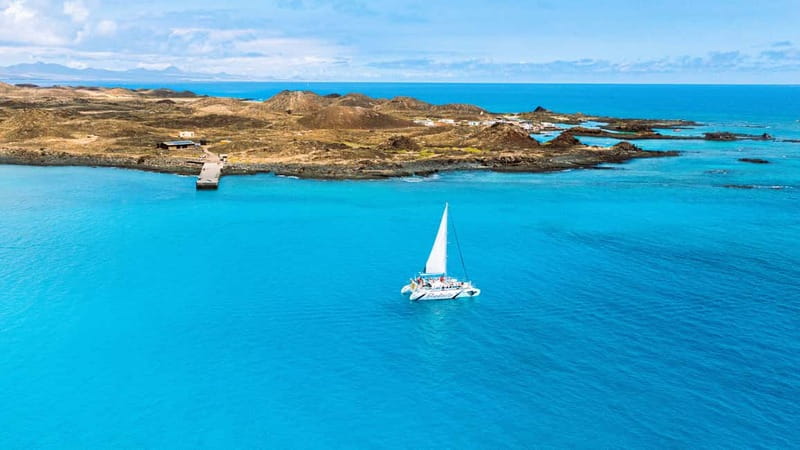Lobos Island: 4-Hour Catamaran Trip with Lunch - Paella, cold drinks, and the value of lunch