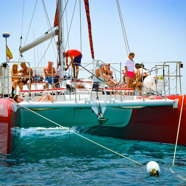Lobos Island: 4-Hour Catamaran Trip with Lunch - Timing, transfers, and the one-hour island question