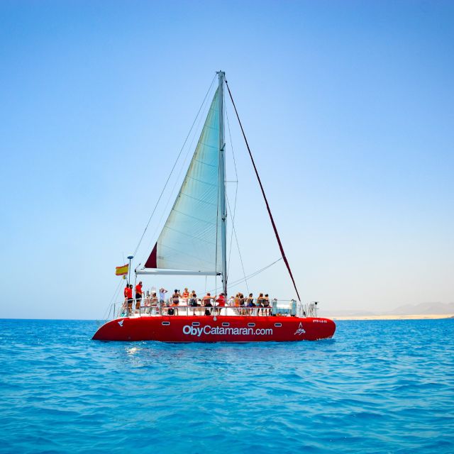 Lobos Island: 4-Hour Catamaran Trip with Lunch - Swimming, snorkeling, and paddleboarding from the boat