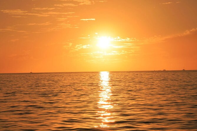 Los Cabos Catamaran Cruise with Open Bar & Light Snack - Practical Details That Matter