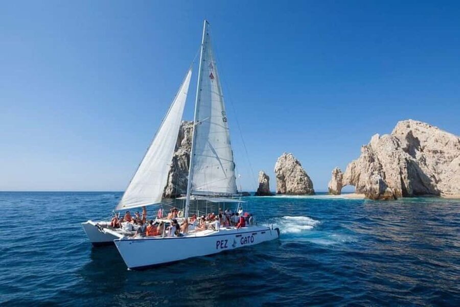 Los Cabos: Catamaran Whale Watching Cruise - A whale cruise built around the winter migration