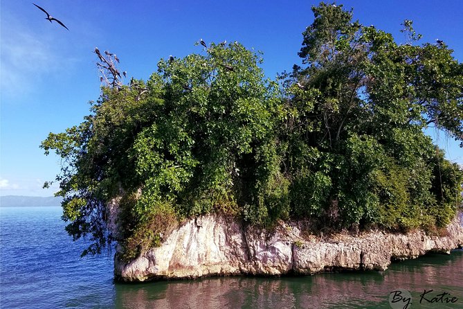 Los Haitises & Cayo Levantado (Lunch included, from Samana in Catamaran or Boat) - Rock islands and mangroves in Los Haitises
