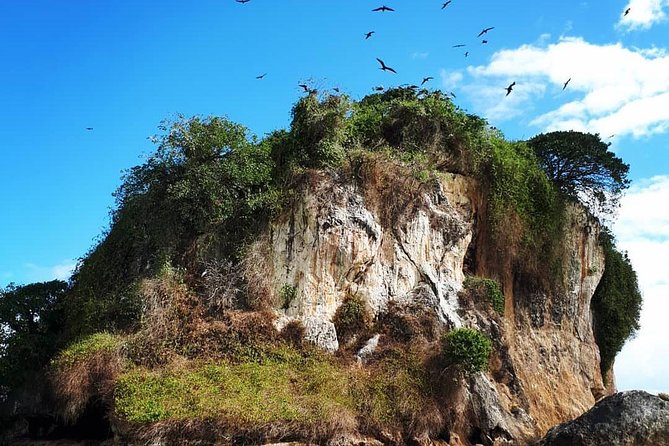 Los Haitises & Cayo Levantado (Lunch included, from Samana in Catamaran or Boat) - What the guide adds