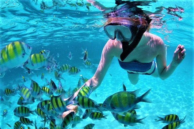 Luxury All-Inclusive Catamaran Cruise to Ile aux Cerfs and GRSE Waterfall - What the all-inclusive package really covers