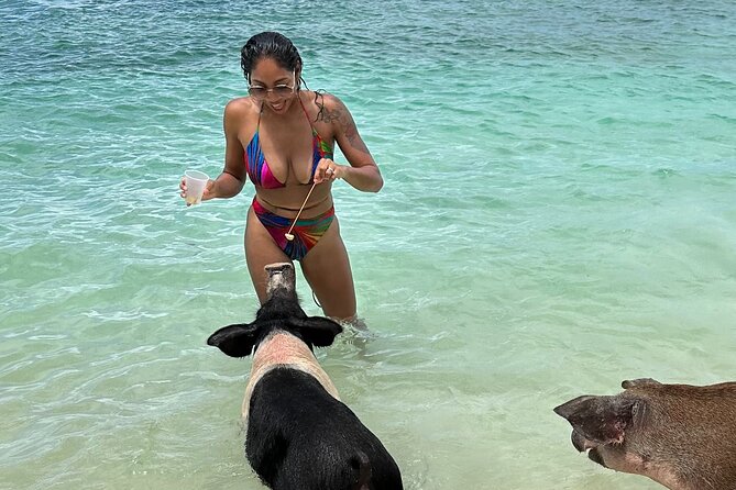 Luxury Catamaran Cruise: Sip, Sail, Snorkel, and Swim with Pigs! - Key points at a glance