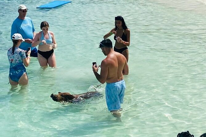 Luxury Catamaran Cruise: Sip, Sail, Snorkel, and Swim with Pigs! - Cruising past Sandy Cay, the famous television island