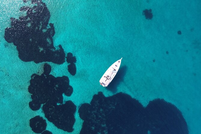 Luxury Catamaran Morning Semi-Private & Greek Gastronomy Athens - What the $165.27 Price Really Covers