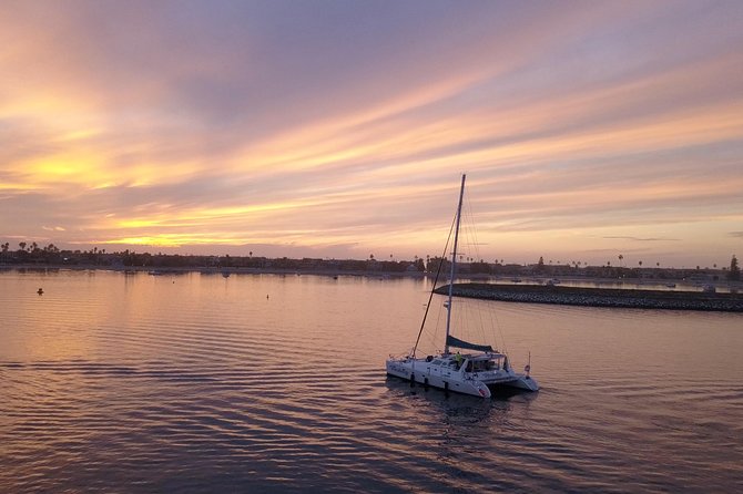 Luxury Catamaran Sailing Charter of San Diego - Wildlife and the pace of the ride
