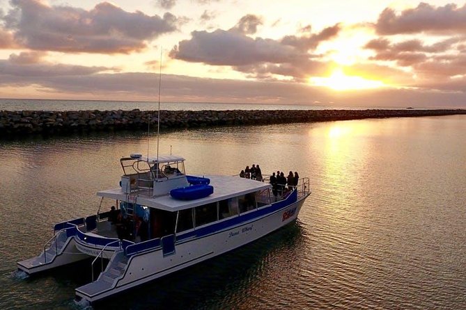 Luxury Catamaran Sunset and Wine Cruise from Dana Point - What the Dana Point wine cruise actually feels like