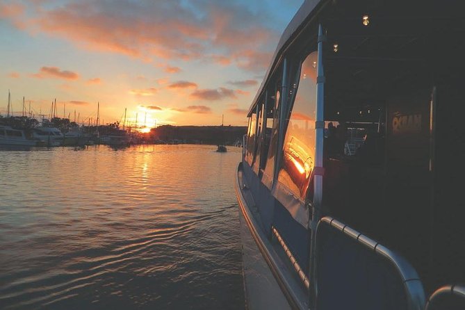 Luxury Catamaran Sunset and Wine Cruise from Dana Point - Who will enjoy the Ocean Adventure most