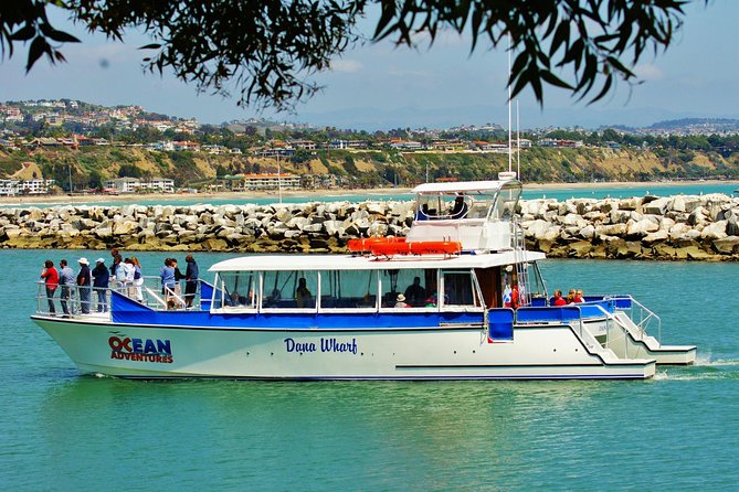 Luxury Catamaran Sunset and Wine Cruise from Dana Point - Music changes the mood