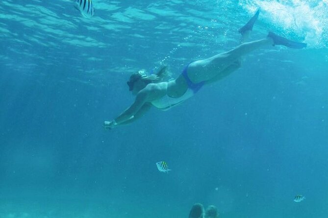 Luxury Catamaran Tour to Isla Mujeres with Transportation - What this Cancun catamaran day is really like