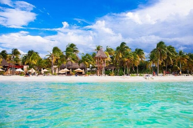 Luxury Catamaran Tour to Isla Mujeres with Transportation - El Meco Reef: warm water, modest expectations