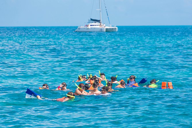 Luxury Catamaran tour to Isla Mujeres with transportation from Playa del Carmen - Snorkeling above the Caribbean reef