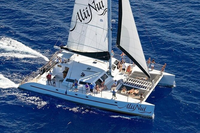 Luxury Catamaran Whale Watch - What the whale search feels like from Maalaea