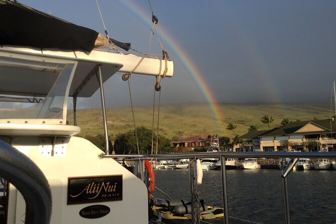 Luxury Catamaran Whale Watch - Food, cocktails, and the premium open bar