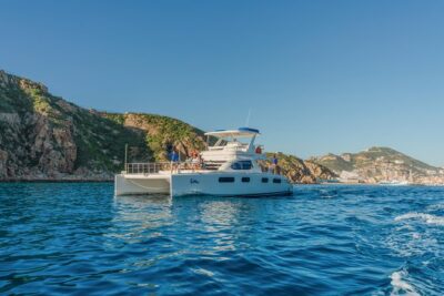 Luxury Catamaran Whale Watching Cabo San Lucas