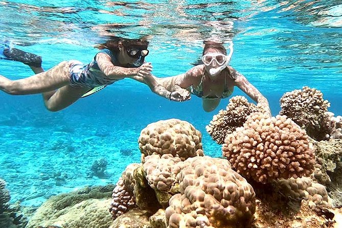 LUXURY PRIVATE Catamaran : Full-Day Sail & Polynesian Motu Lunch - Who should book this Bora Bora sailing day?