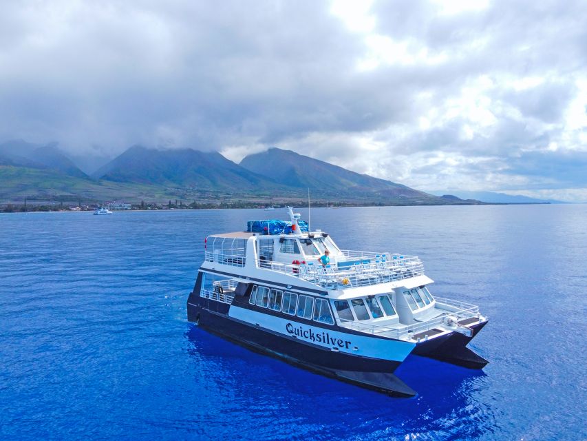 Ma'alaea Harbor: Whale Watching Tour Aboard Power Catamaran - Why Maalaea Bay is a good place to watch whales