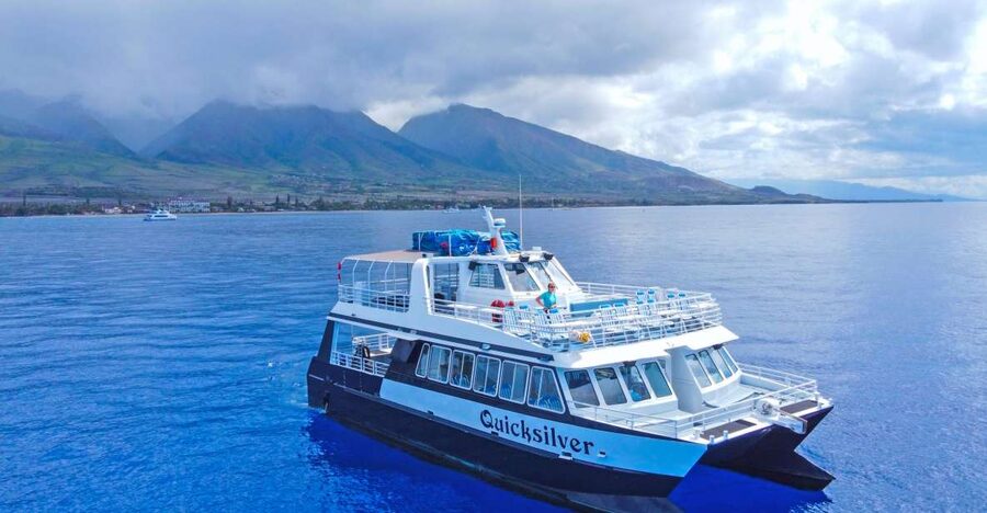 Ma'alaea Harbor: Whale Watching Tour Aboard Power Catamaran - Boarding at Maalaea Harbor