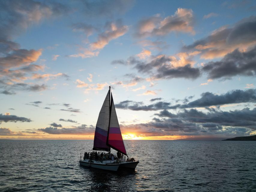 Maalaea Harbor: Sunset Sail on a Charming Hawaiin Catamaran - Whale season and sea life
