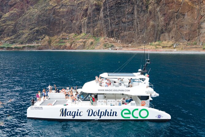 Madeira Dolphin and Whale Watching on a Ecological Catamaran - Setting out from Funchal for a morning or afternoon at sea