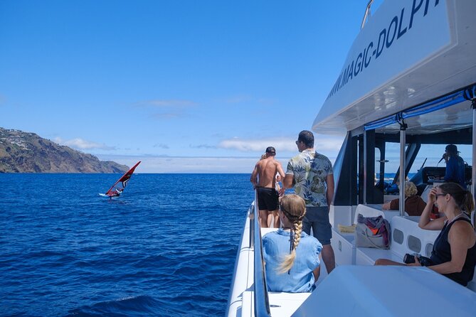 Madeira Dolphin and Whale Watching on a Ecological Catamaran - Madeira’s coast on the return journey