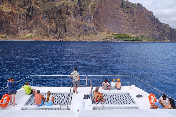 Madeira Dolphin and Whale Watching on a Ecological Catamaran - How the wildlife search works
