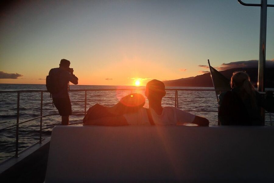 Madeira: Funchal Sunset Tour by Catamaran - Key points to know before booking