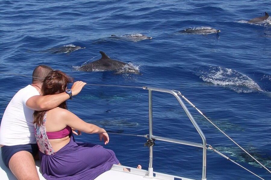 Madeira: Funchal Sunset Tour by Catamaran - From Funchal Marina to the open Atlantic