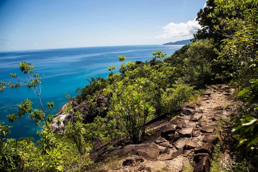 Mahé: Baie Ternay Park Catamaran Cruise with BBQ Lunch - What to bring and how to prepare