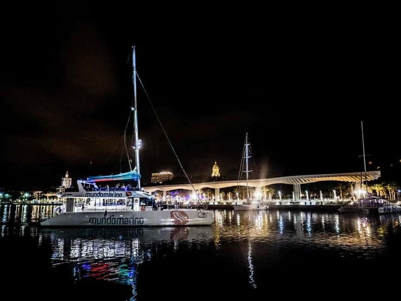 Malaga: Catamaran Sunset or Night Cruise w/ Live DJ & Drink - Night cruise: city lights instead of sunset
