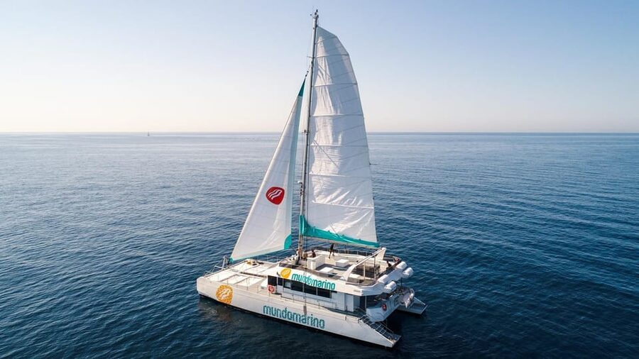 Malaga: Sailing Catamaran with Swimming and Paella Lunch - Practical advice for a smoother outing