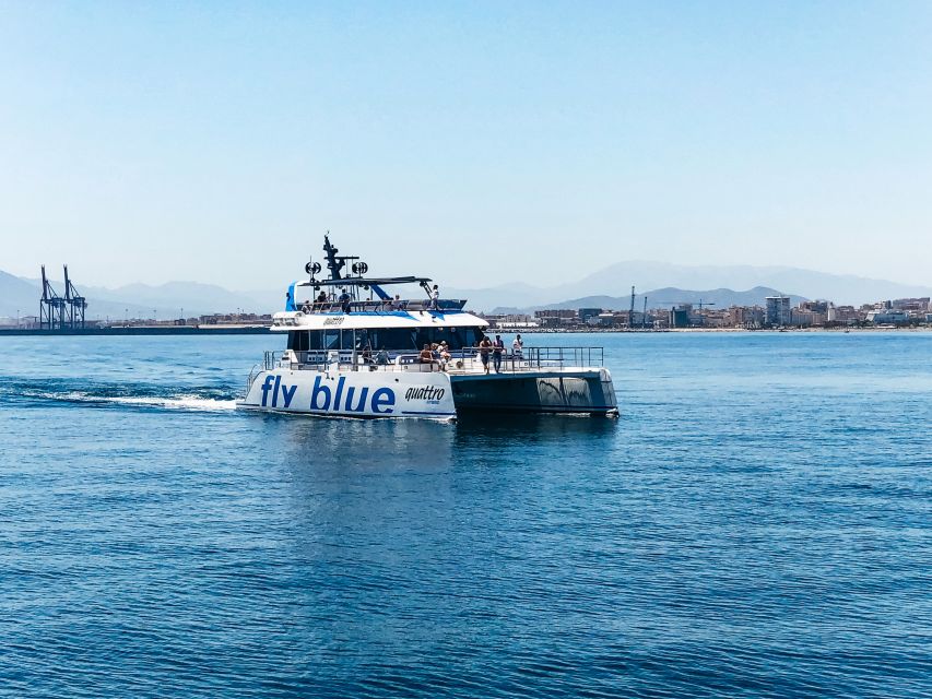 Málaga: Scenic Catamaran Cruise - How the one-hour itinerary works