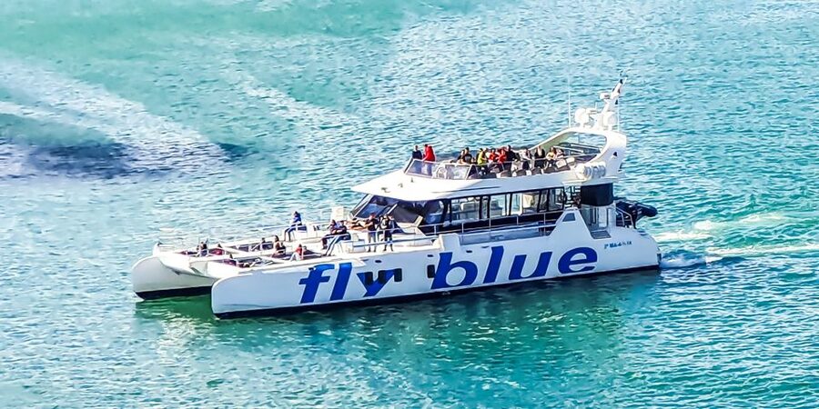 Málaga: Scenic Catamaran Cruise - Who gets the best value from the $15 price